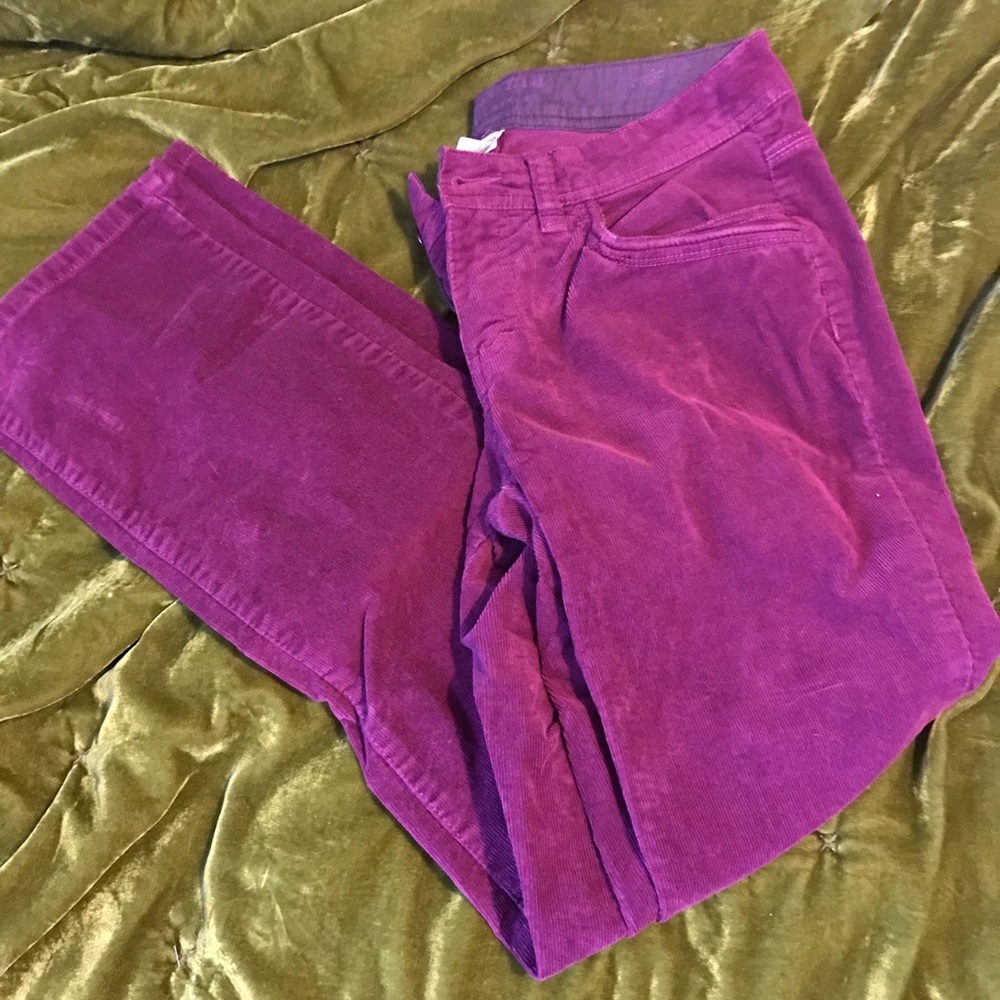 Sonoma petite size 4 purple cords